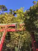 來宮神社の鳥居