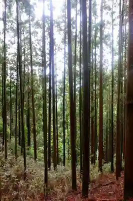  閼伽井不動明王の自然