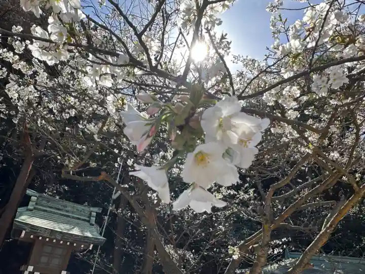 早吸日女神社(大分県)