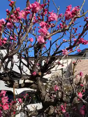 奥州阿古菜志地蔵の自然