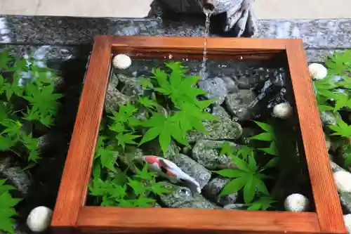 滑川神社 - 仕事と子どもの守り神の手水舎