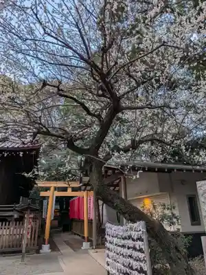 代々木八幡宮(東京都)