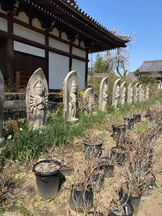 般若寺 ❁コスモス寺❁(奈良県)