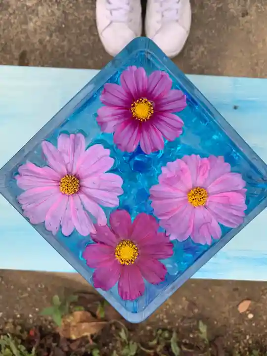 般若寺 ❁コスモス寺❁(奈良県)