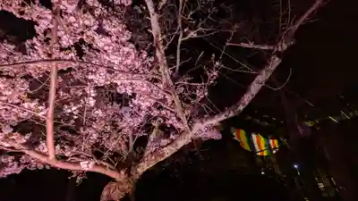 知恩院(京都府)