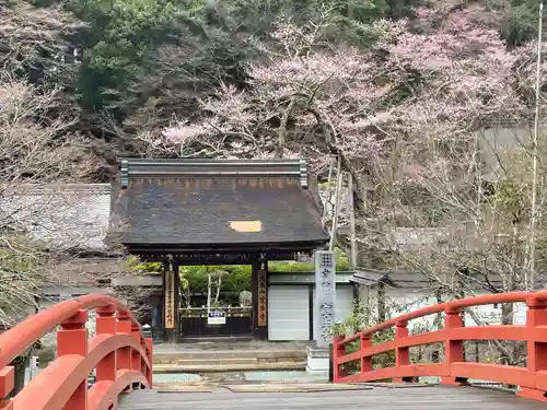 室生寺(奈良県)