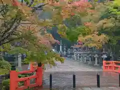 高野山金剛峯寺奥の院(和歌山県)