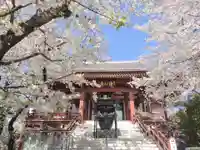 浄心寺(東京都)
