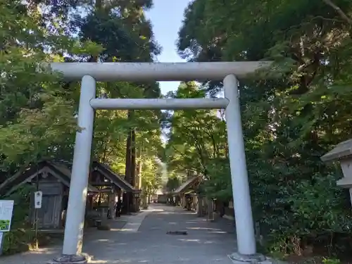 天岩戸神社の鳥居