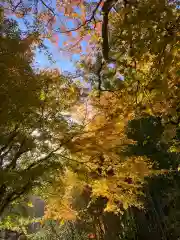 明月院(神奈川県)