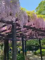 玉敷神社(埼玉県)