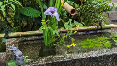 宝蔵寺(京都府)