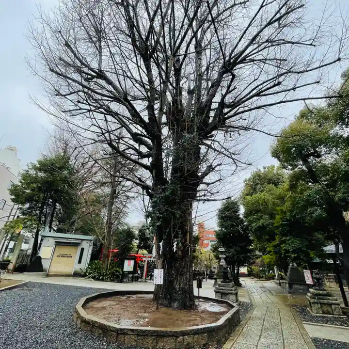 鳩森八幡神社のその他建物