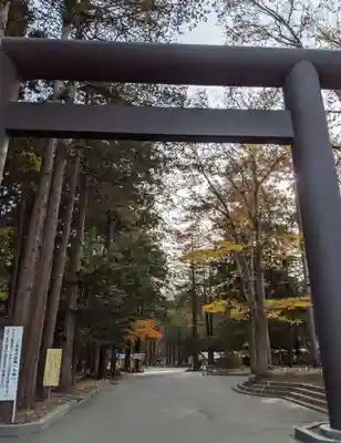 北海道神宮の鳥居