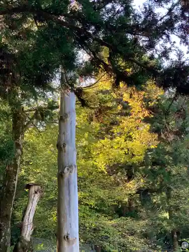 諏訪大社の自然