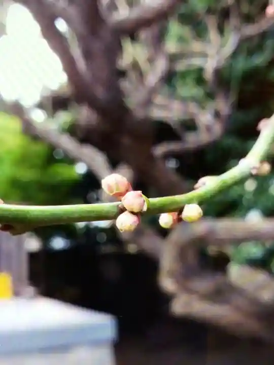 國領神社(東京都)