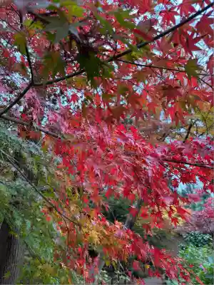 本土寺(千葉県)