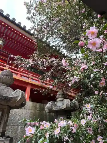 石清水八幡宮(京都府)