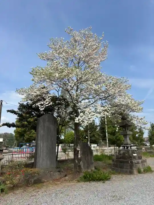 長良神社の{uncategorized: "未分類", other: "その他", undefined: "問題あり", building: "その他建物", grave: "お墓", sacred_gate: "鳥居", guardian: "狛犬", statue: "像", buddha: "仏像", history: "歴史", nature: "自然", garden: "庭園", animal: "動物", pagoda: "塔", temizu: "手水舎", mountain_gate: "山門・神門", sanctuary: "本殿・本堂", subordinate: "末社・摂社", art: "芸術", scenery: "景色", jizo: "地蔵", ema: "絵馬", goshuin: "御朱印", omikuji: "おみくじ", items: "授与品その他", amulet: "お守り", goshuincho: "御朱印帳", eats: "食事", festival: "お祭り", votive_dance: "神楽", shichigosan: "七五三参", wedding: "結婚式", experience: "体験その他", initially: "初詣", around: "周辺", anti_infection: "感染症対策"}