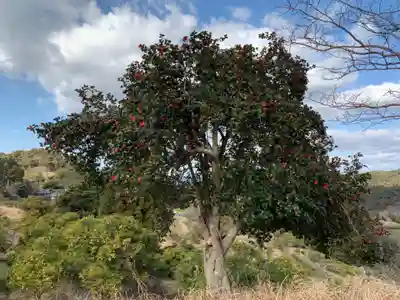 お堂（名称不明）の自然