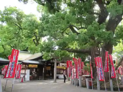住吉大社(大阪府)