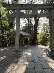 谷保天満宮(東京都)