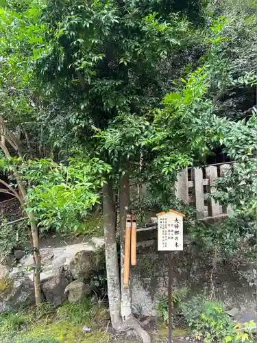 大豊神社(京都府)