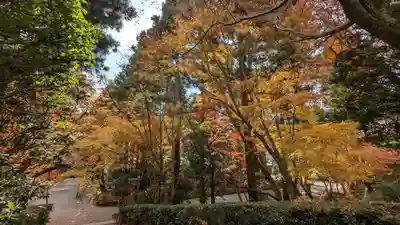 龍安寺(京都府)