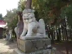 網走神社の狛犬