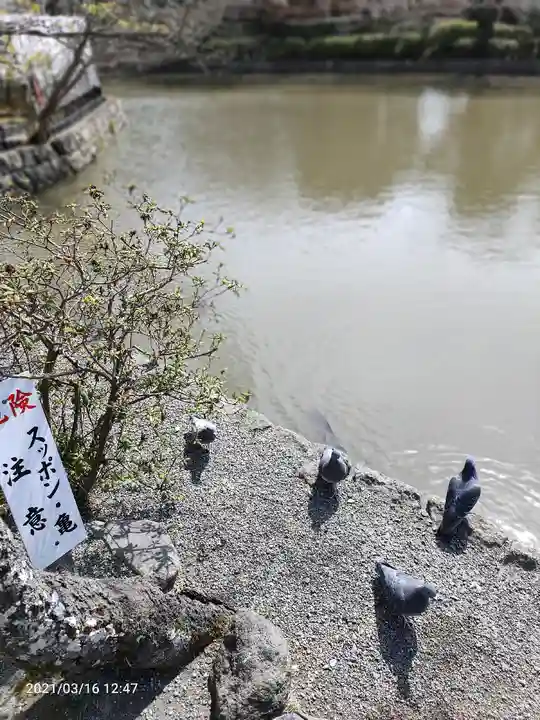 旗上弁財天社の動物