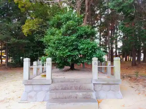 神明社（下町七長）の自然