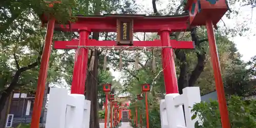 塚越稲荷神社の鳥居