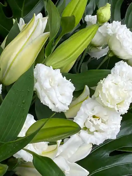 上尾御嶽神社の手水舎