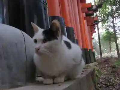 伏見稲荷大社(京都府)