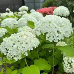 豊景神社(福島県)