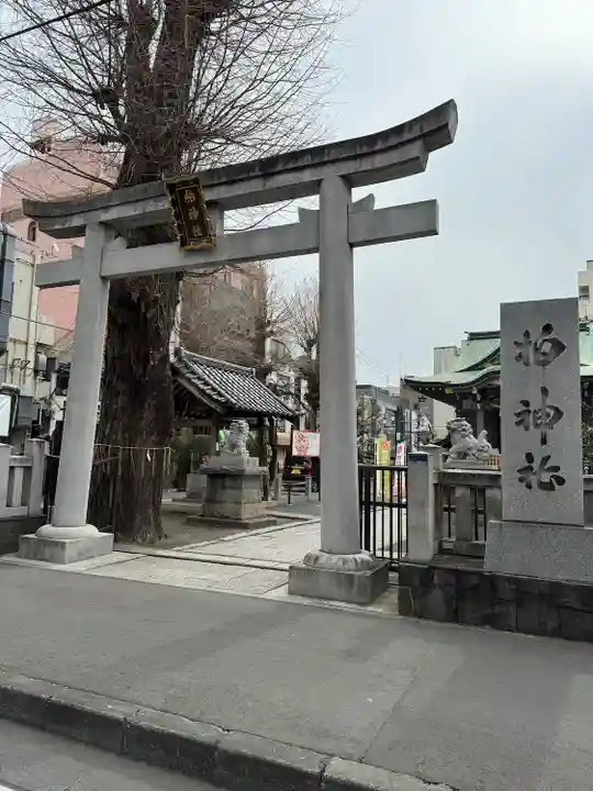 柏神社(千葉県)
