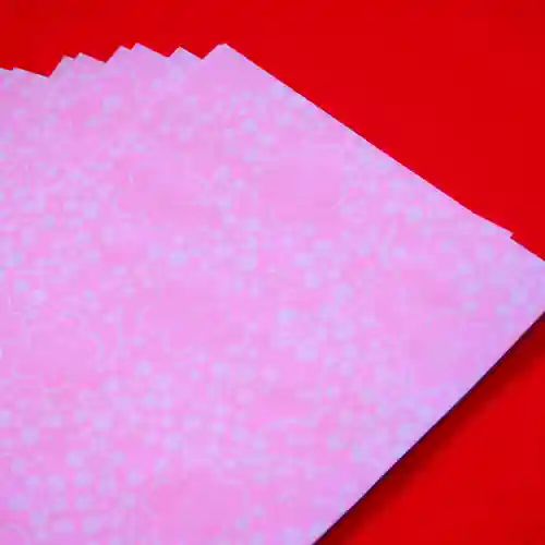 大安禅寺(福井県)