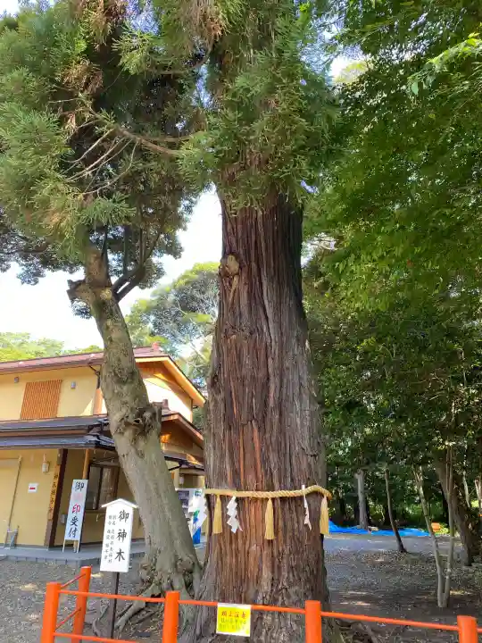 息栖神社(茨城県)