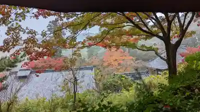 十輪寺(京都府)