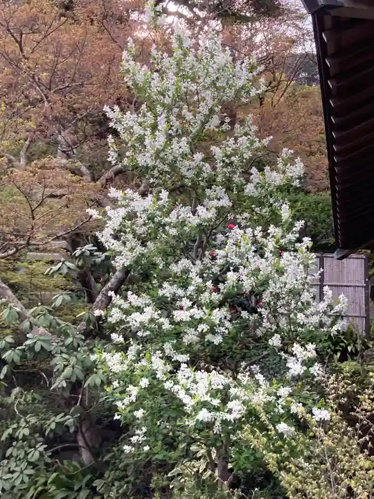 長谷寺(神奈川県)