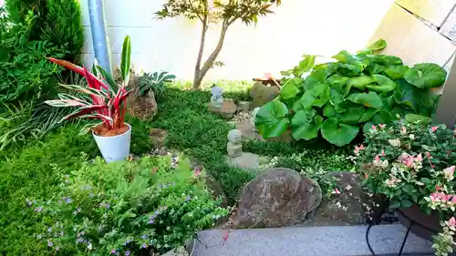 寿量山　速成寺の自然