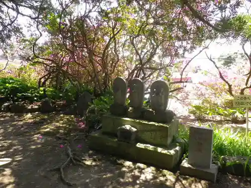 安養院　(田代寺）の庭園