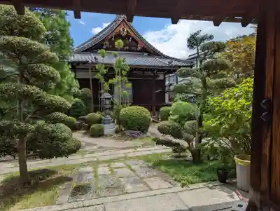 蓮光寺(京都府)