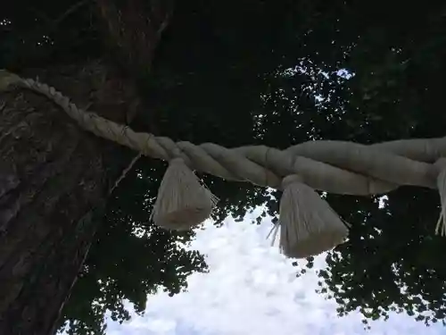 亀ケ池八幡宮のその他建物