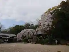 土呂八幡宮の自然