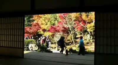 天龍寺(京都府)