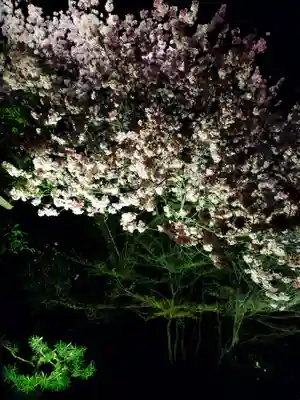 高台寺（高台寿聖禅寺・高臺寺）(京都府)