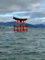 厳島神社の{uncategorized: "未分類", other: "その他", undefined: "問題あり", building: "その他建物", grave: "お墓", sacred_gate: "鳥居", guardian: "狛犬", statue: "像", buddha: "仏像", history: "歴史", nature: "自然", garden: "庭園", animal: "動物", pagoda: "塔", temizu: "手水舎", mountain_gate: "山門・神門", sanctuary: "本殿・本堂", subordinate: "末社・摂社", art: "芸術", scenery: "景色", jizo: "地蔵", ema: "絵馬", goshuin: "御朱印", omikuji: "おみくじ", items: "授与品その他", amulet: "お守り", goshuincho: "御朱印帳", eats: "食事", festival: "お祭り", votive_dance: "神楽", shichigosan: "七五三参", wedding: "結婚式", experience: "体験その他", initially: "初詣", around: "周辺", anti_infection: "感染症対策"}