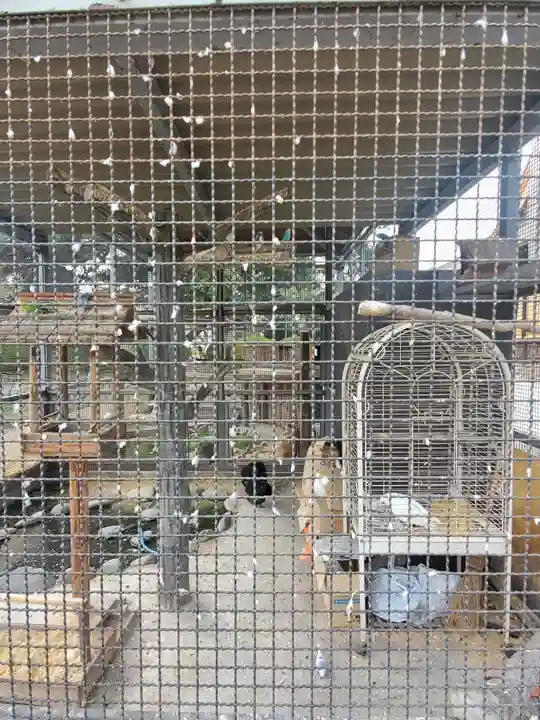 神明宮のその他建物