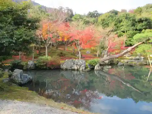 天龍寺の庭園